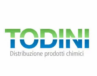 Todini